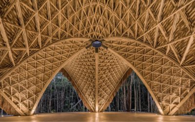 Bamboo as a structural component in buildings